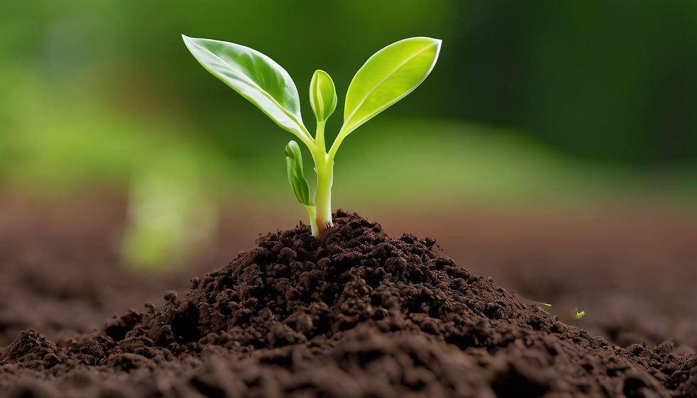 Nature Day: Eco Adventures for Youth