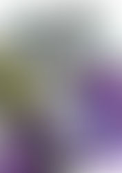 【凹凸世界】【雷安】