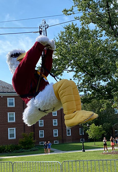 Rock the Quad19.jpeg