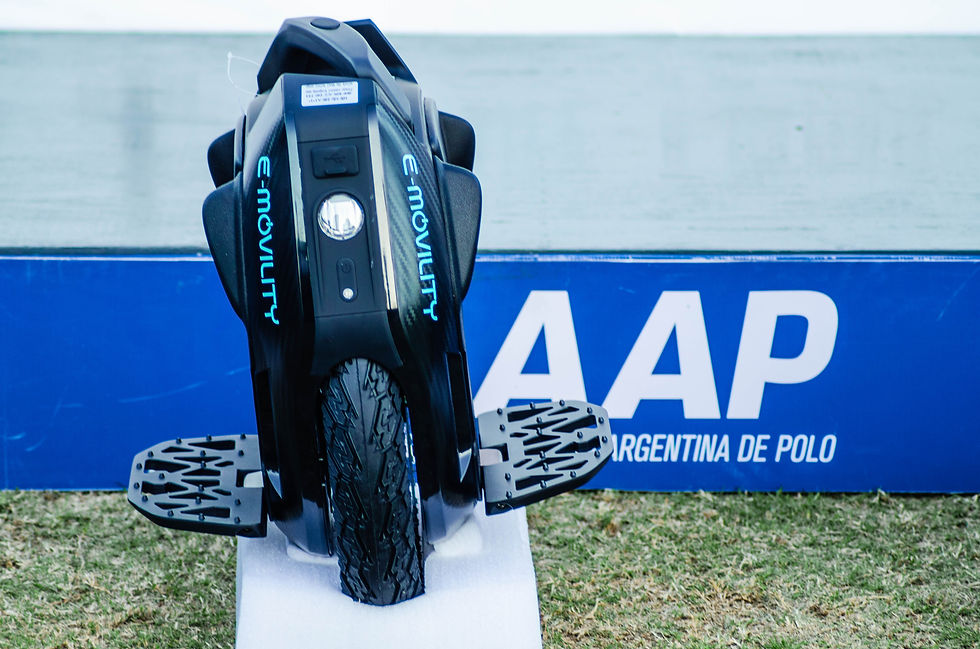 rodapolo0.jpg