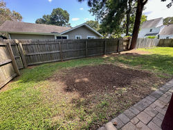 Yard Debris Removal AFTER