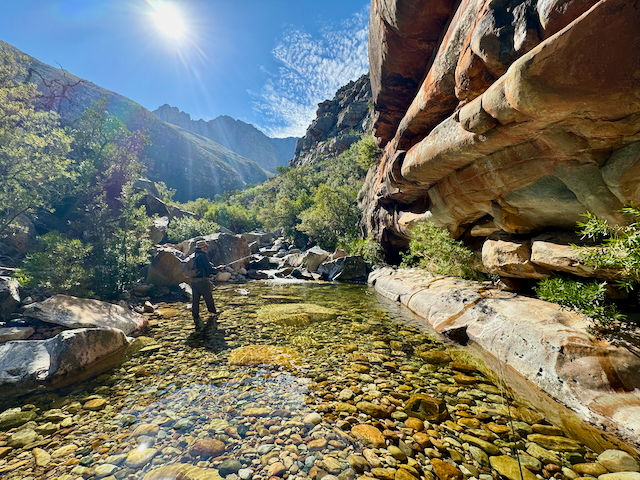 Trout Fishing in the Cape Winelands with a Split Cane Fly Rod