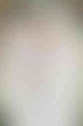 wedding photos in texas