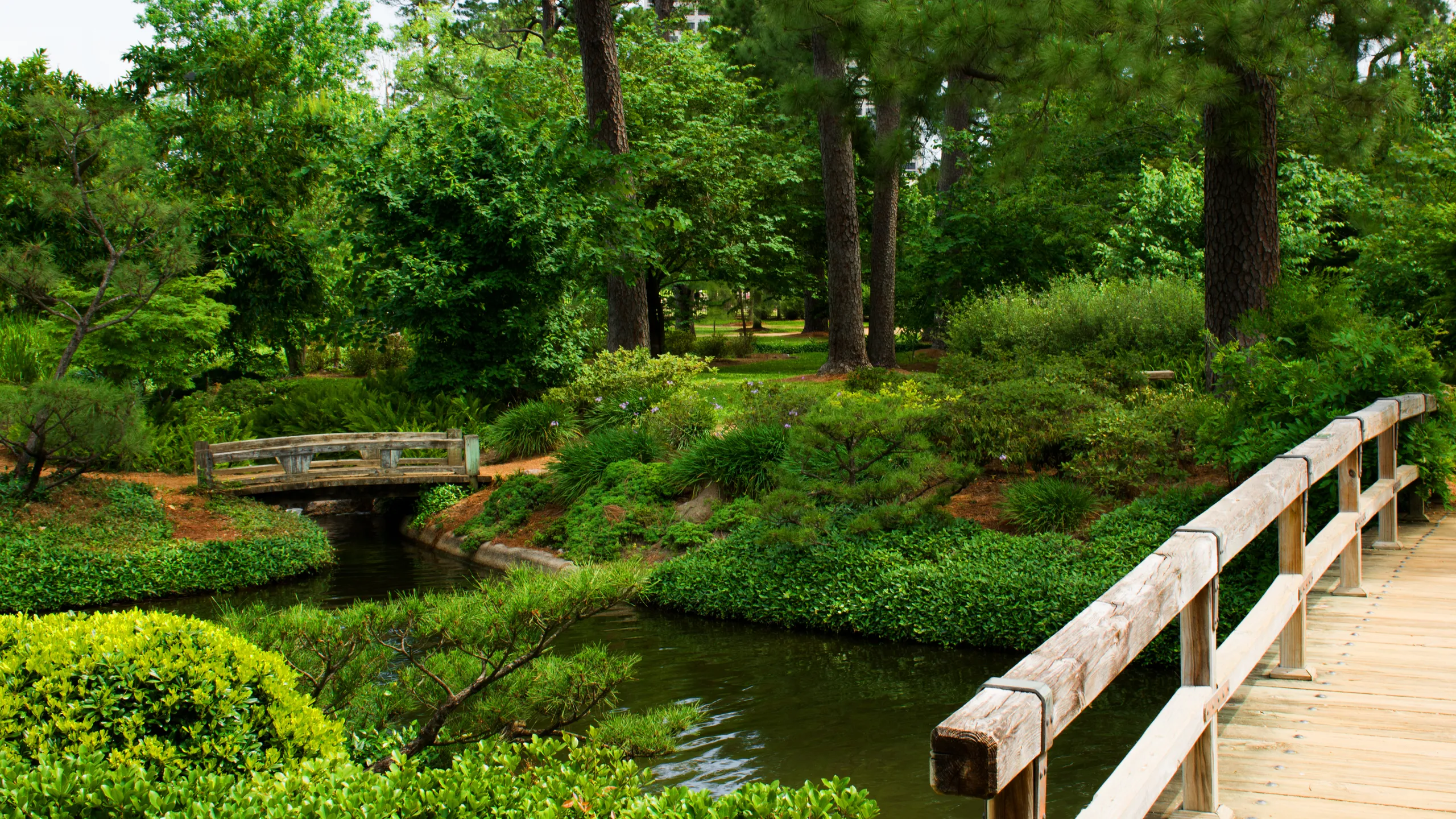 engagement location