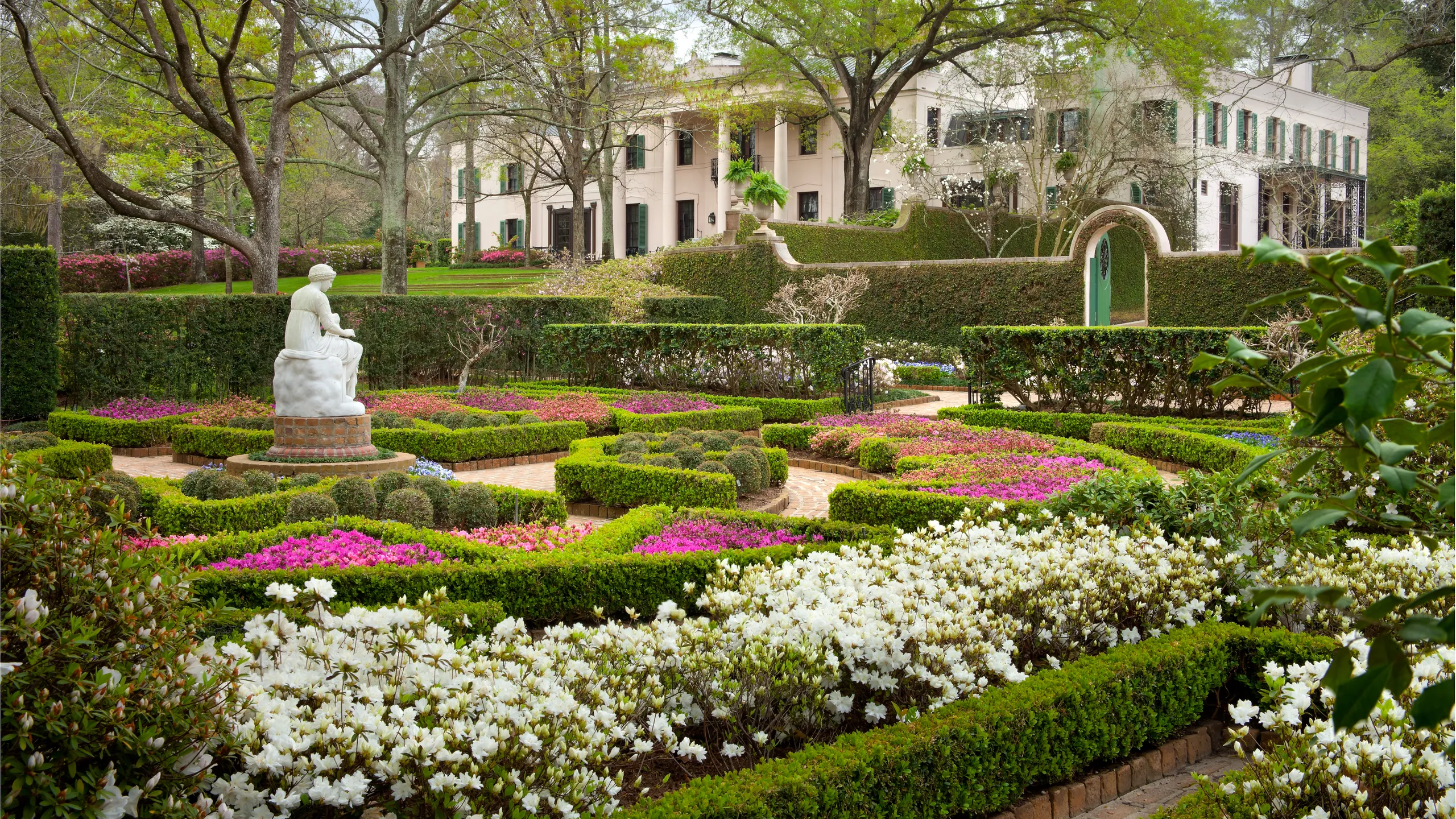 the museum of fine arts in houston