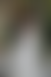 wedding dress ideas for your big day