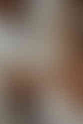 Old World Romance Styled Wedding Shoot in Texas