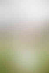 My Favorite Bridal Boutiques in Houston