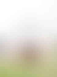 Hidden Ways Hiring a Wedding Planner Saves You Money