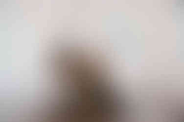 luxury wedding photos in texas