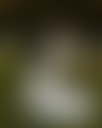 wedding dress ideas for your texas wedding day