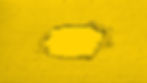 monochromatic SLEDGE yellow background for Contact section
