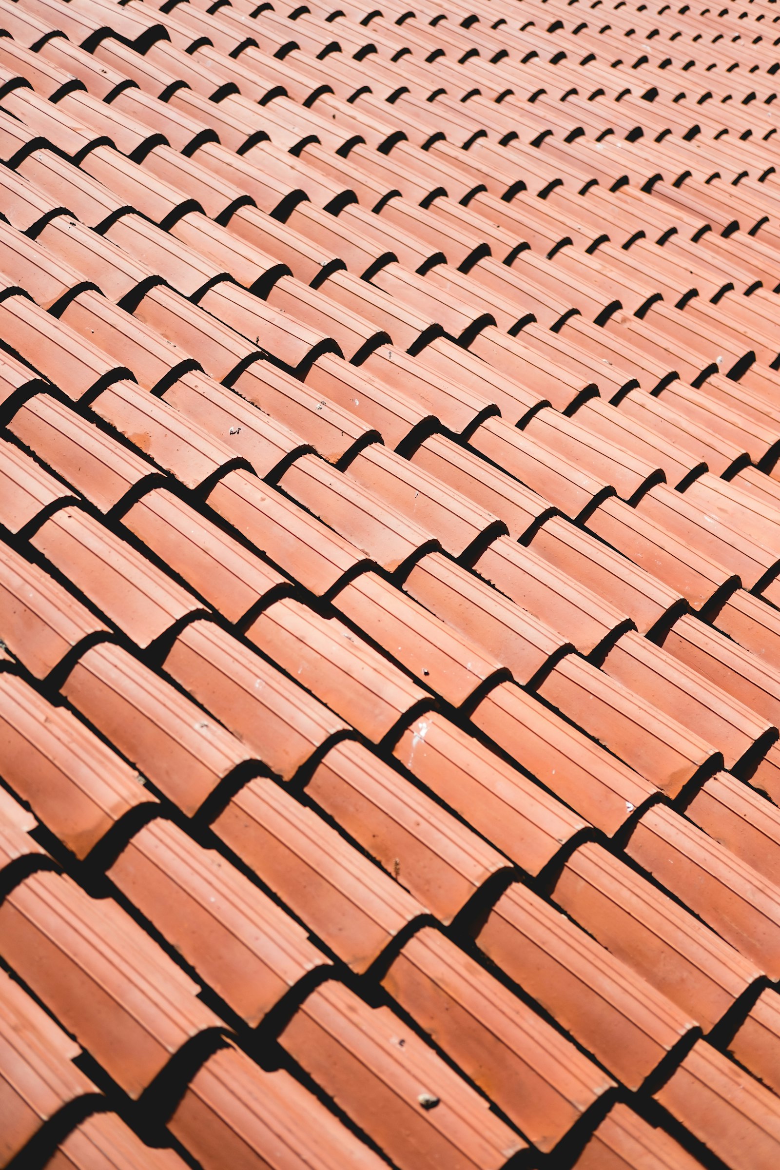 Close-up of clay roof tiles