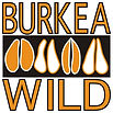 Burkea Logo copy.jpeg