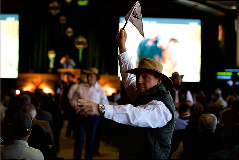 19400534_1910209452534709_62005872956524