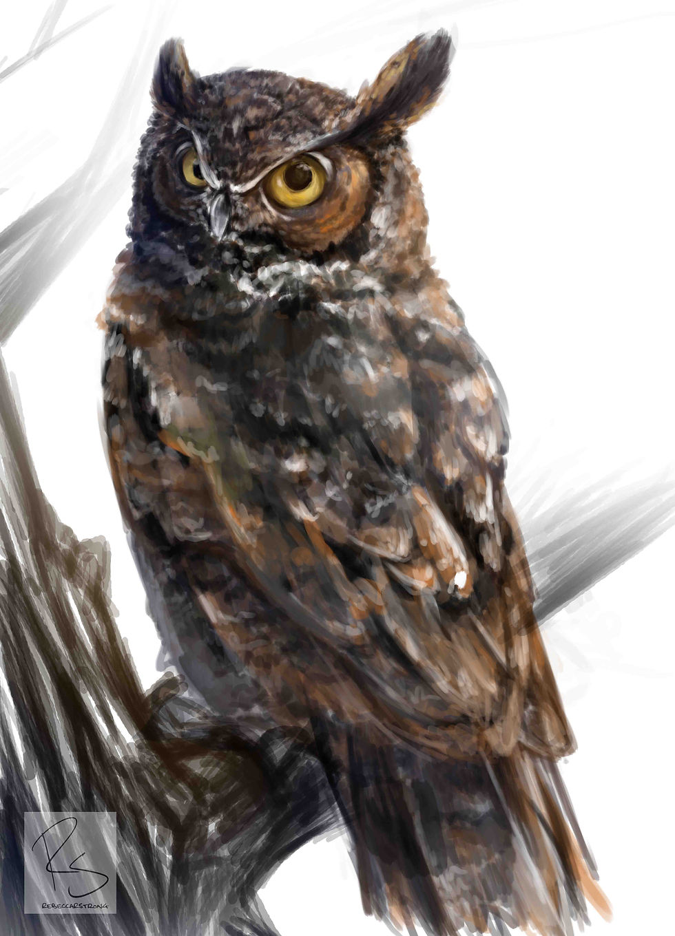 Owl