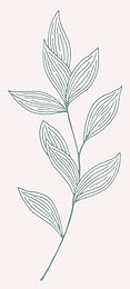 flor-nutricionista-equilibrio