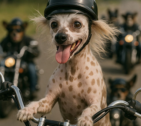 ChatGPT Image 12_edited.jpg