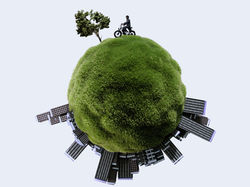 43.00_00_31_13.Still110