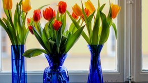 5 Ultimate Steps Every Stepmom Needs to Take to Help Beat Spring Break Stress