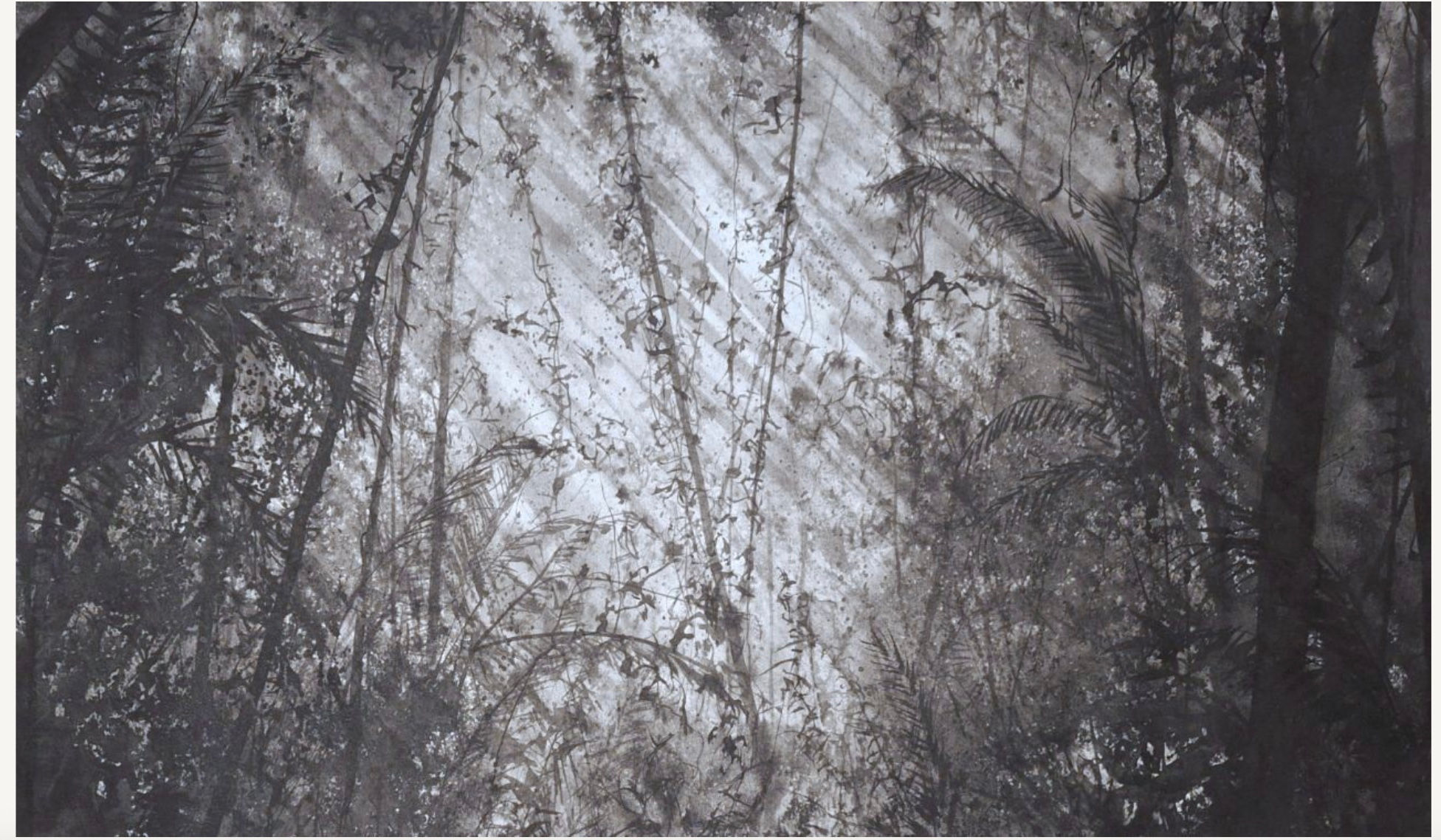 Tropical hidden entrance