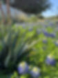 IMG_4002.jpeg