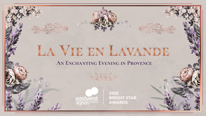 Lavender-themed Key Visual