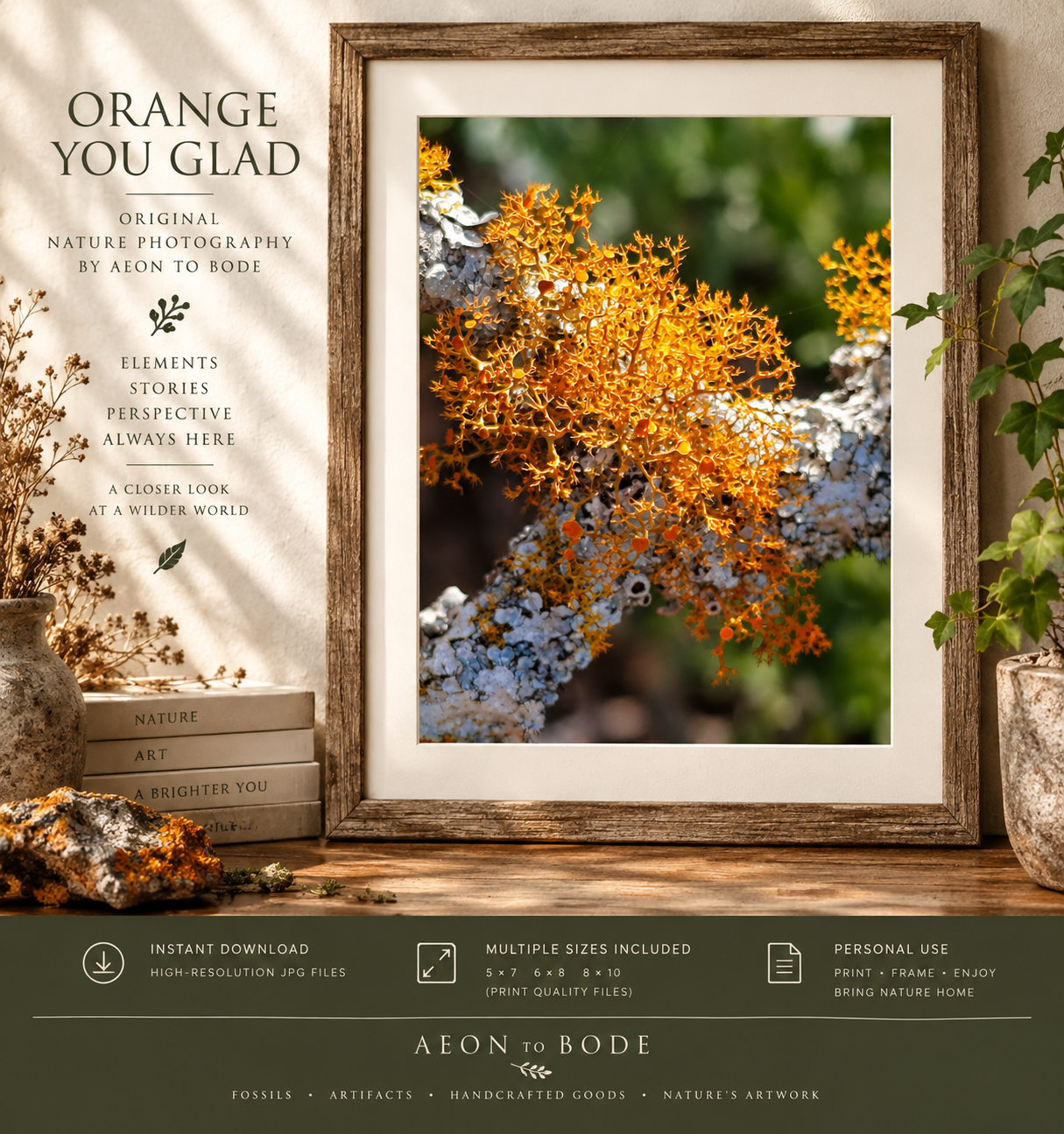 ORANGE YOU GLAD — Original Nature Photography