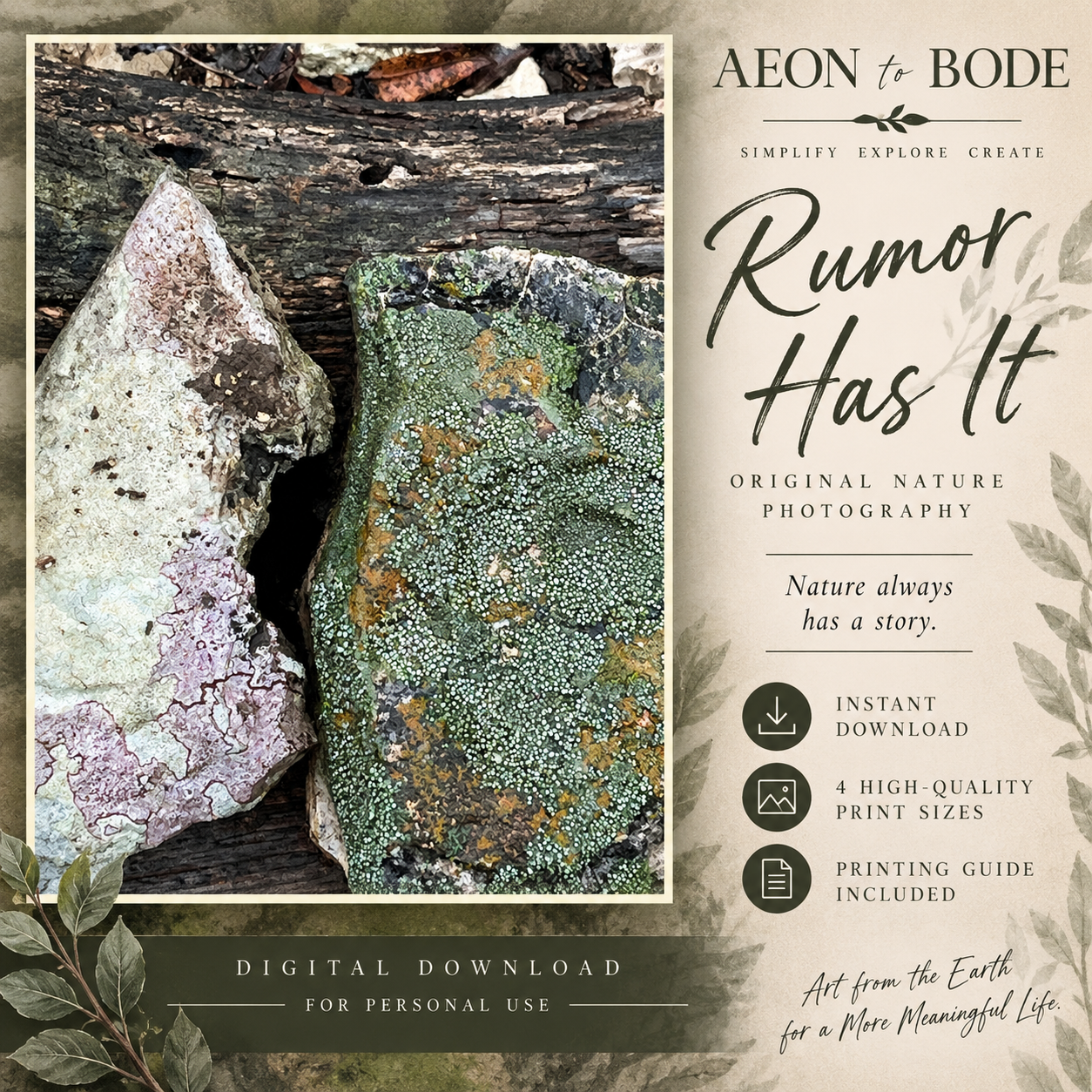 Rumor Has It — Original Nature Photography