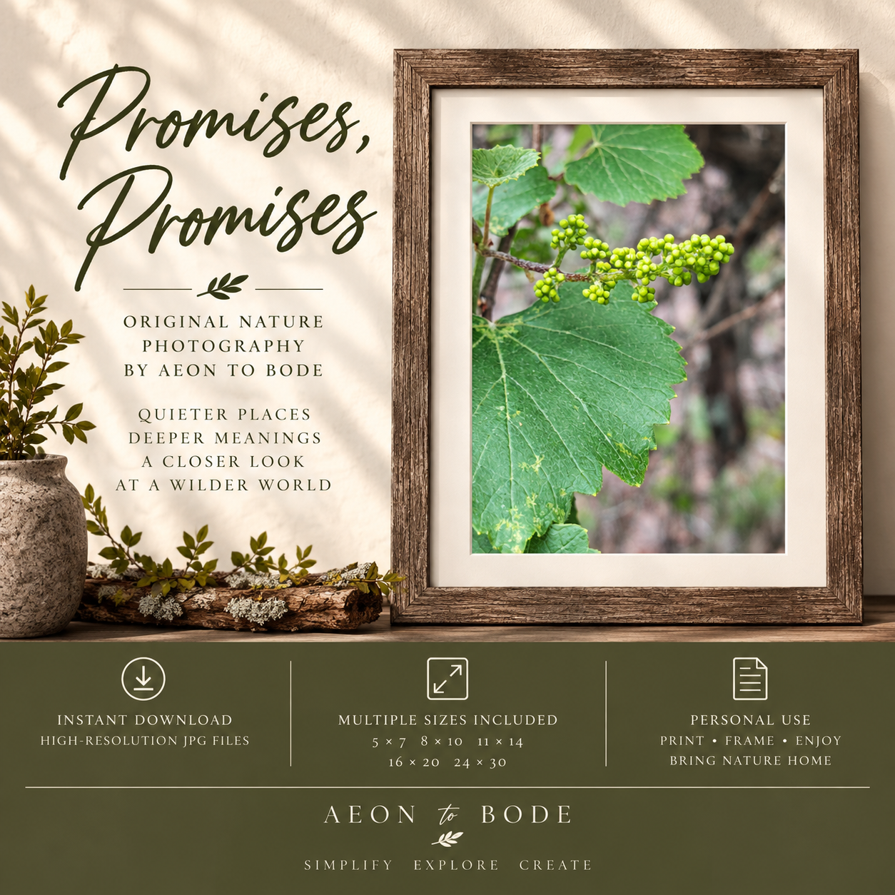 Promises, Promises — Original Nature Photography