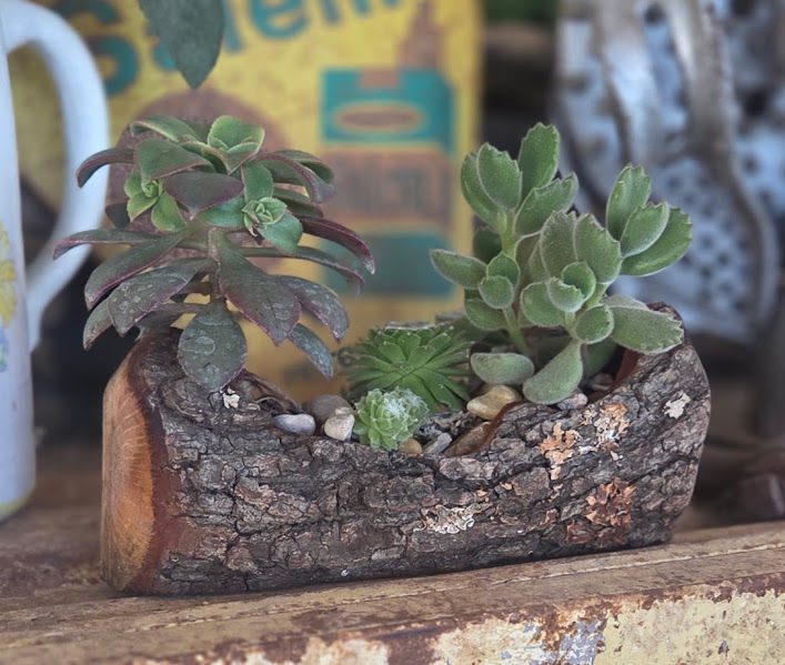 Handcrafted Natural Wood Planter — Made to Order