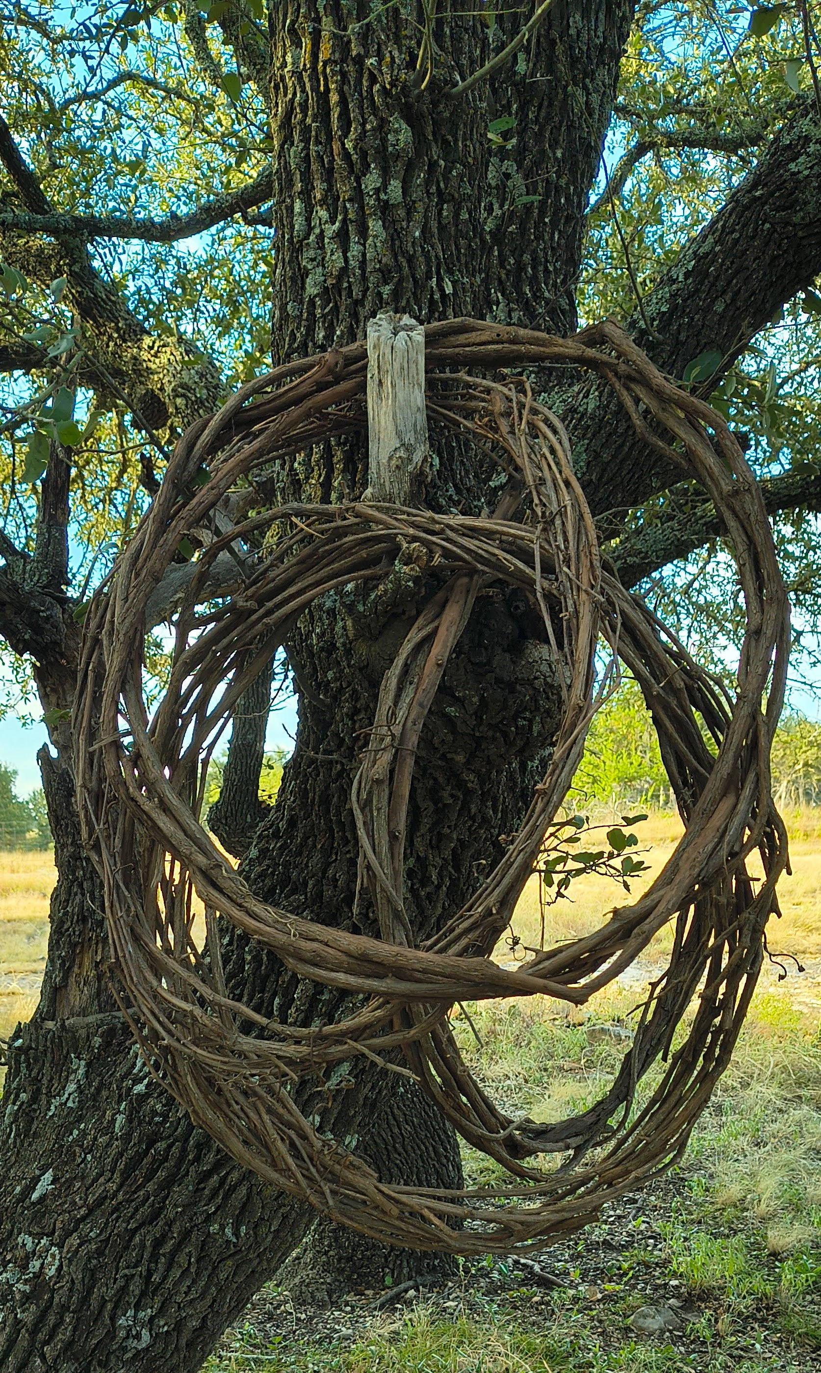 Handmade Grapevine Wreath