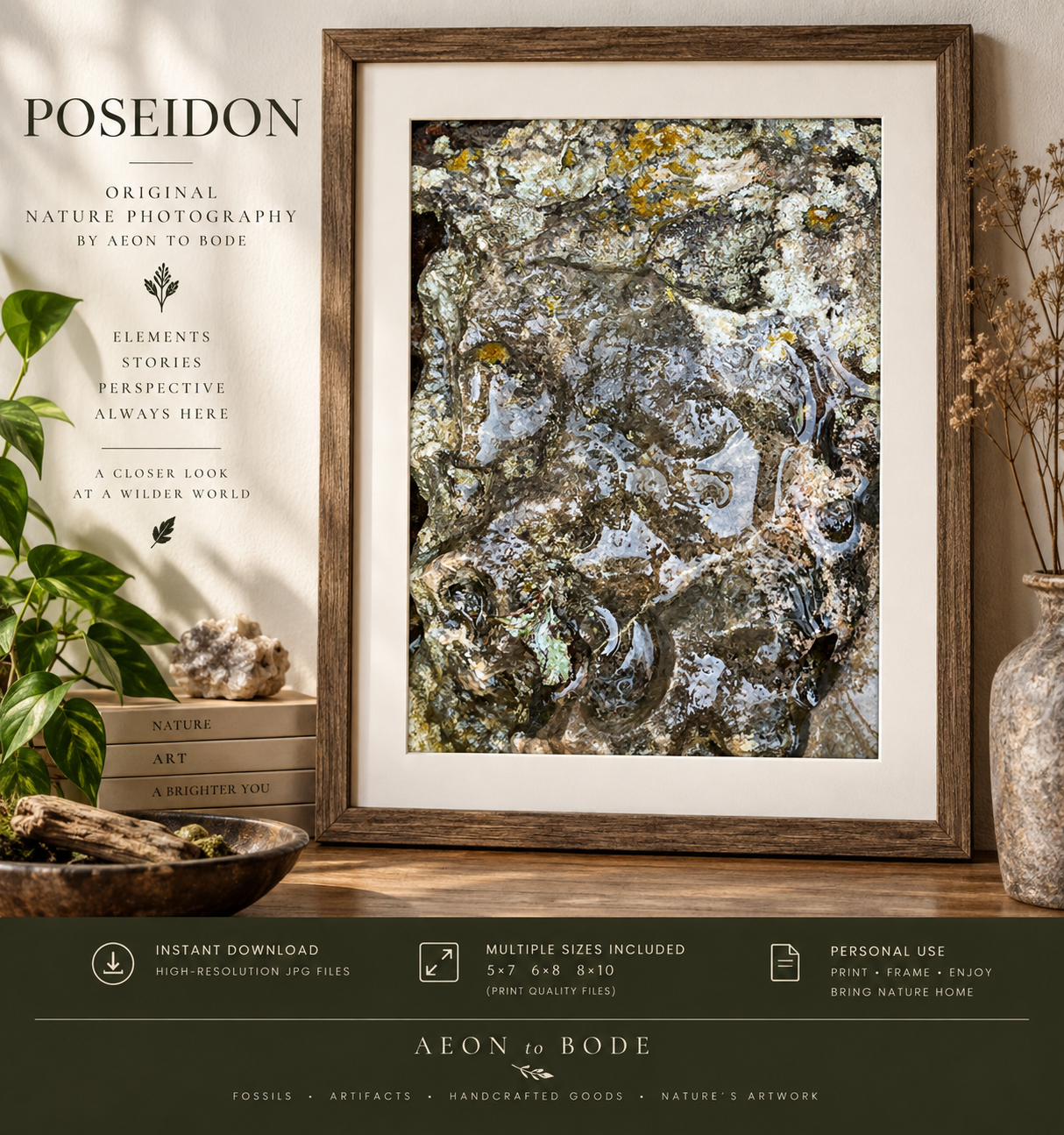 POSEIDON — Original Nature Photography