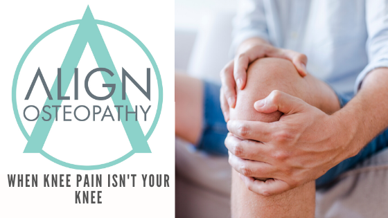 Knee arthritis or knee injury such as meniscus, knee cartilage or cruciate ligament injury