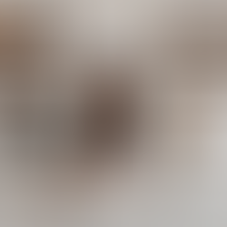 How Dios Mio Coffee Brewed Its Way to a Six-Figure Brand& What Handmade Sellers Can Learn ☕ 