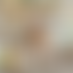 Marketing Gone Wrong: What Handmade Sellers Can Learn from the Poppi vs. Olipop Controversy