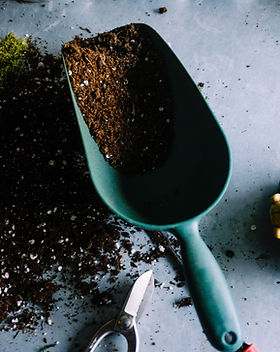 Trowel and Soil
