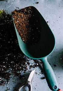 Trowel and Soil