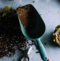 Scène des outils de jardinage