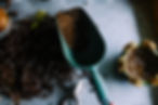 Trowel and Soil