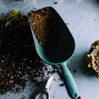 Potting Soil