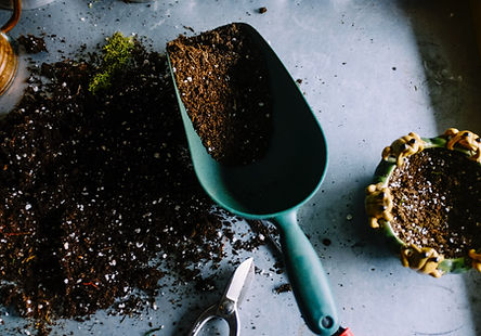 Organic Fertilizer