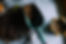 Trowel and Soil