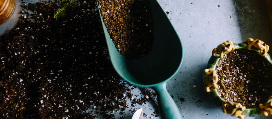 What Is Potting Soil?