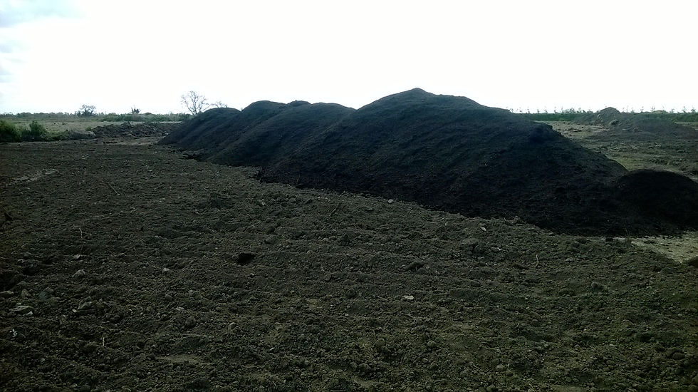 Thumbnail: Compost