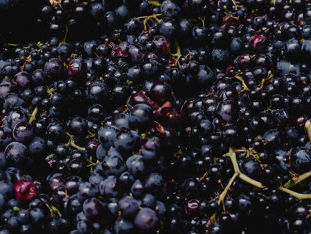 酒的分類介紹 | 依原料方式分類