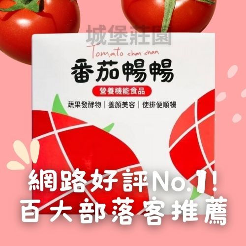 【無添加更安心・日常順暢補充新選擇】番茄暢暢 益生菌酵素果乾|SGS檢驗・幫助消化・順暢保養