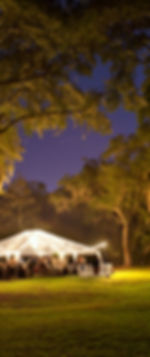 A night-time wedding using a clear top tent rental along with stringer light rentals and furniture rentals.