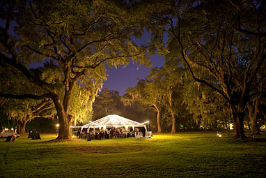 Wedding Gathering in Park