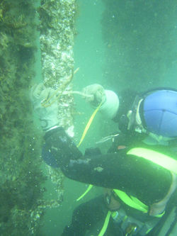 陽極消耗度測定